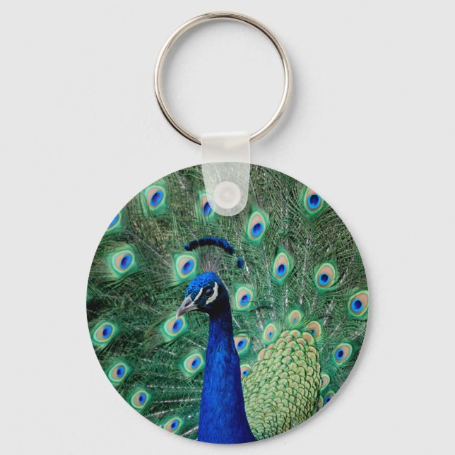 Peacock, keychain (Front)