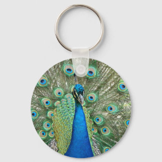 Peacock Keychain
