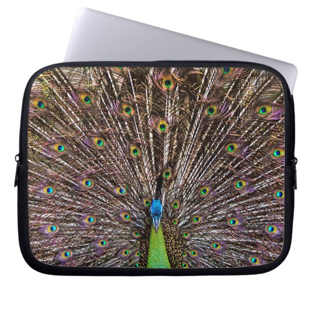 Peacock Laptop Sleeve (Front)