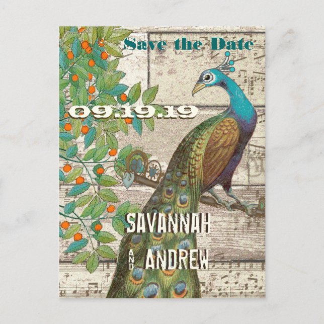 Peacock Love Bird Sitting in a Tree Save the Date Announcement Postcard (Front)