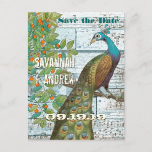 Peacock Love Bird Sitting in a Tree Save the Date Announcement Postcard
