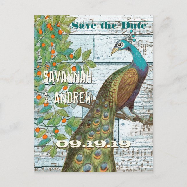 Peacock Love Bird Sitting in a Tree Save the Date Announcement Postcard (Front)