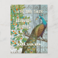 Peacock Love Bird Sitting in a Tree Save the Date