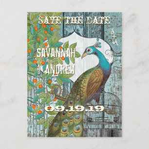 Peacock Love Bird Sitting in a Tree Save the Date Announcement Postcard
