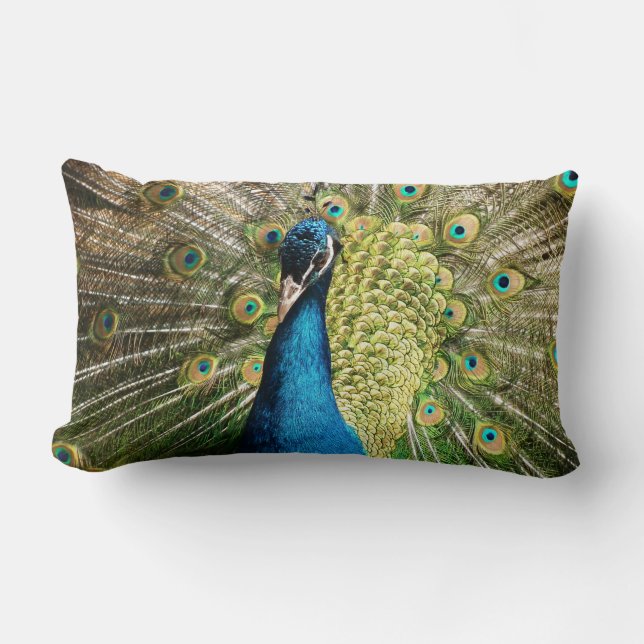 Peacock Lumbar Cushion (Front)