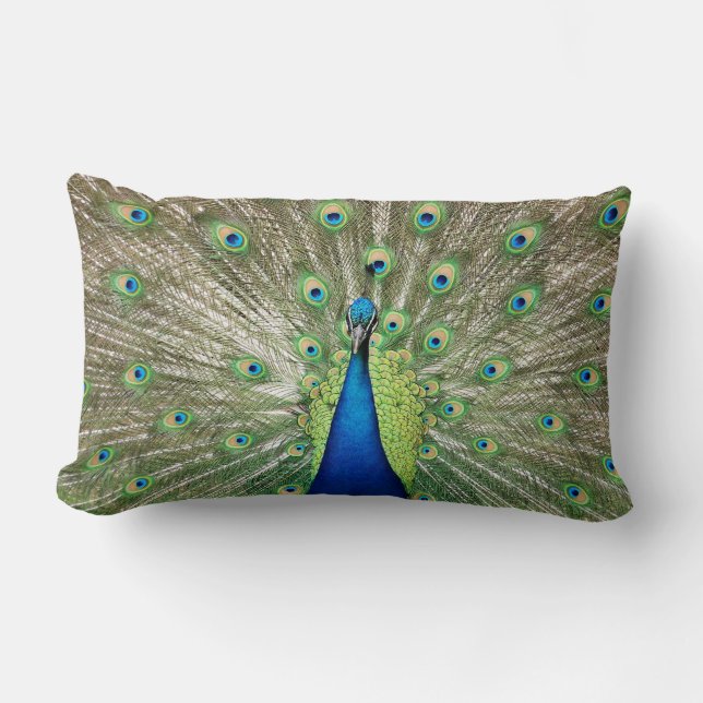 Peacock Lumbar Cushion (Front)