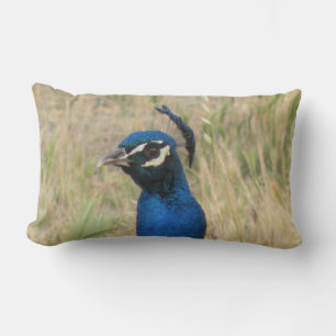 Peacock Lumbar Pillow