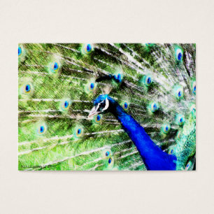 Peacock Mini Print