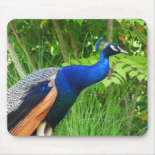 Peacock Mouse Pad