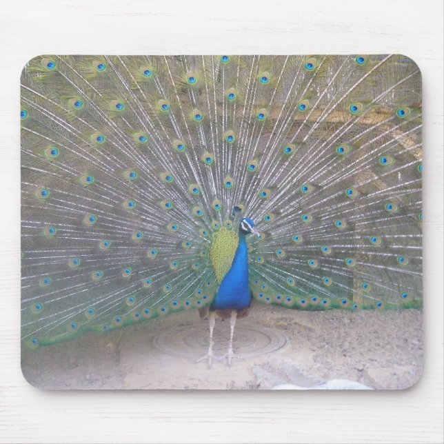 Peacock Mouse Pad (Front)