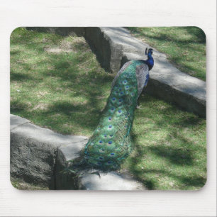 peacock mouse pad