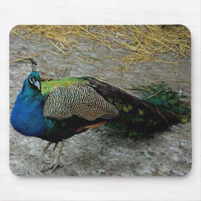 Peacock Mouse Pad (Front)