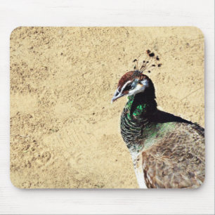 Peacock Mouse Pad