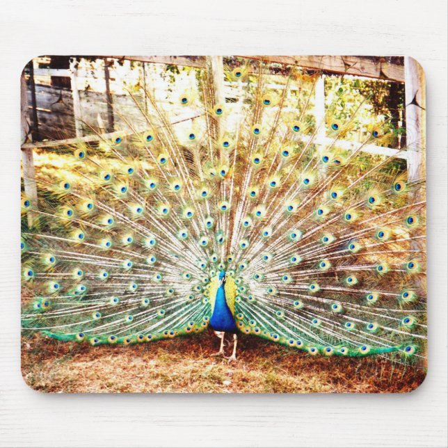 Peacock Mouse Pad (Front)
