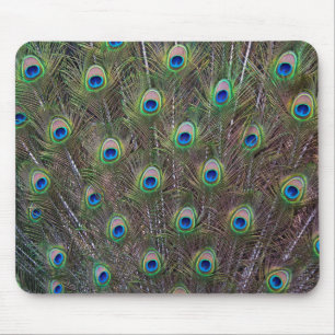 Peacock Mousemat