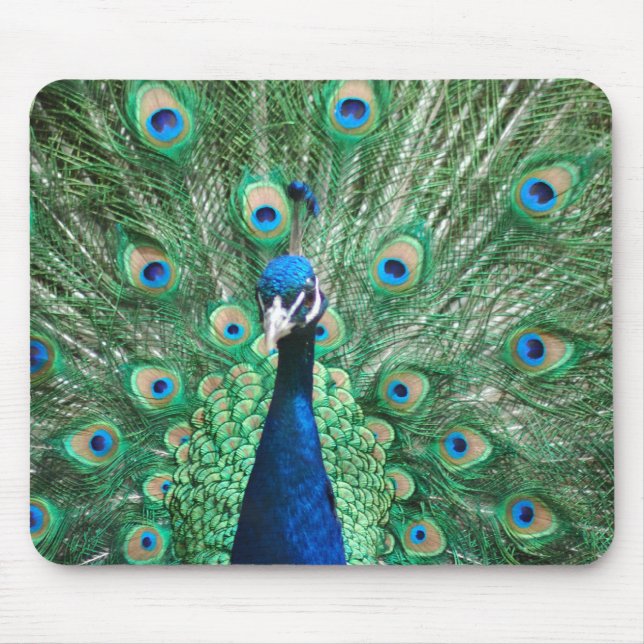 Peacock Mousepad (Front)
