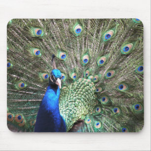 Peacock Mousepad