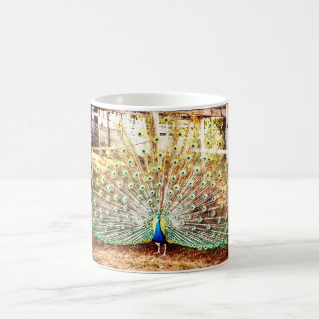 Peacock, Mug (Center)