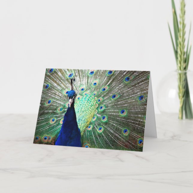 Peacock Note Card (Front)