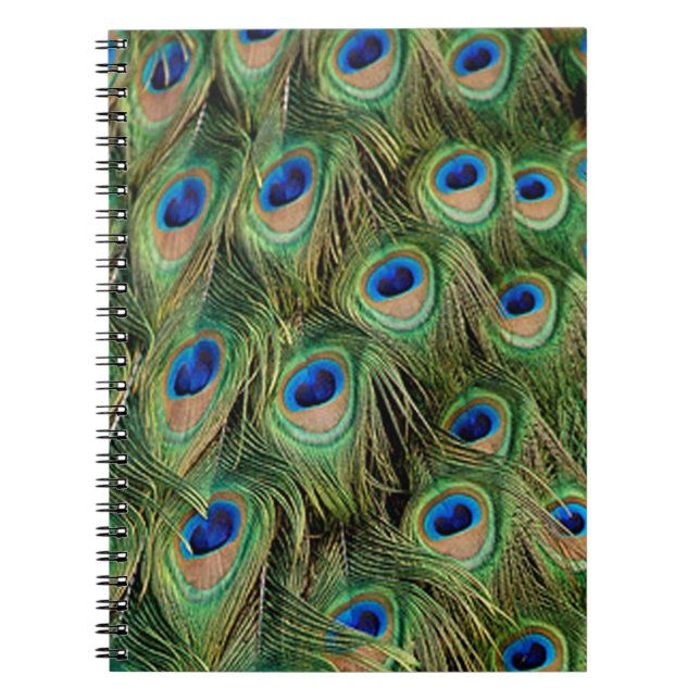 Peacock Notebook (Front)