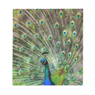 Peacock Notepad