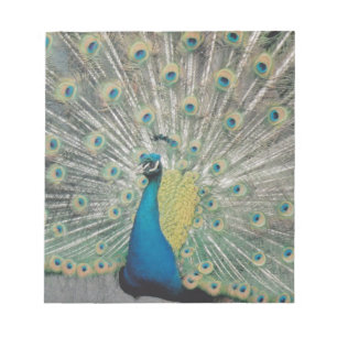 Peacock Notepad