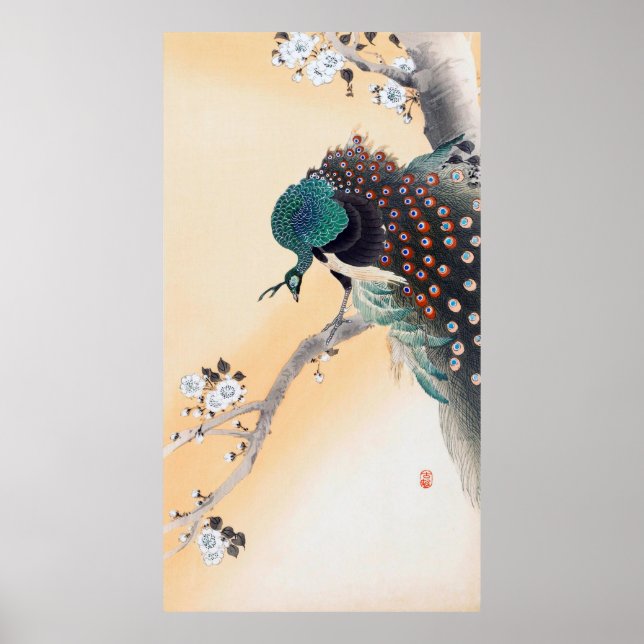 Peacock on a Cherry Blossom Tree, Ohara Koson Poster (Front)