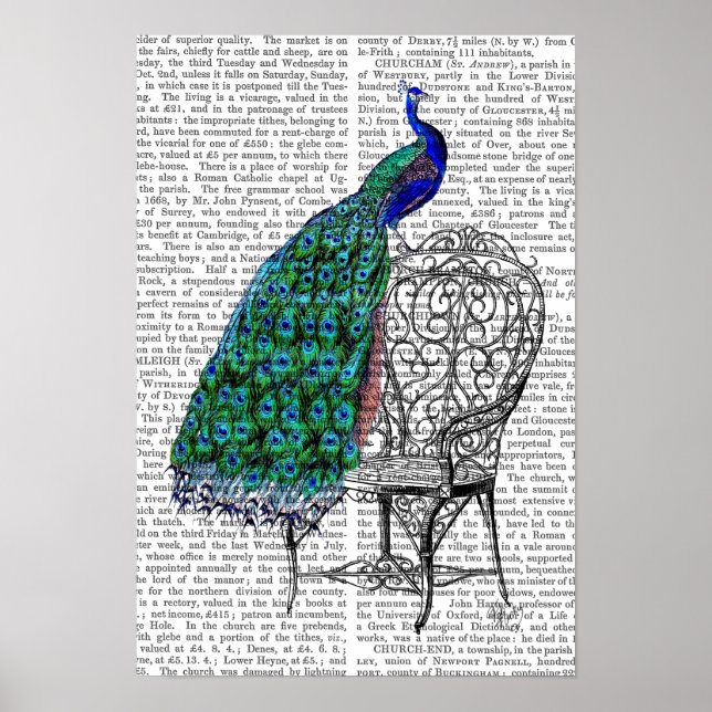 Peacock on Chair Poster (Front)