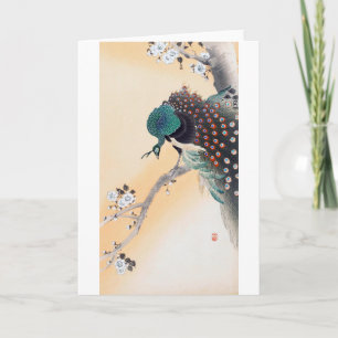Peacock on Cherry Blossom Tree, Ohara Koson Card