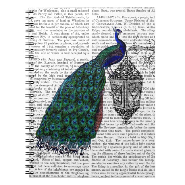 Peacock On Lamp Spiral Notebook (Front)