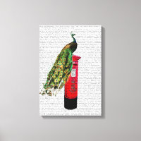 Peacock on Postbox