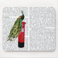 Peacock on Postbox