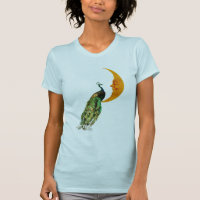 Peacock on the Moon