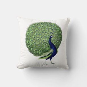 Peacock Open Fan Cushion