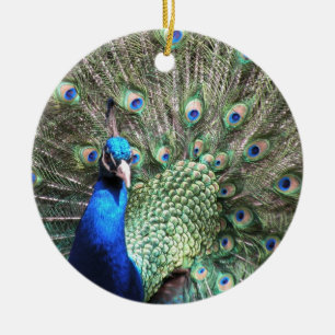 Peacock ornament