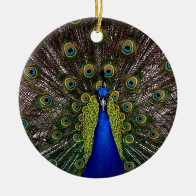 Peacock Ornament (Front)