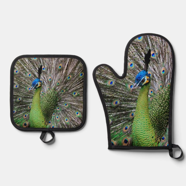 Peacock Oven Mitt & Pot Holder Set (Front)
