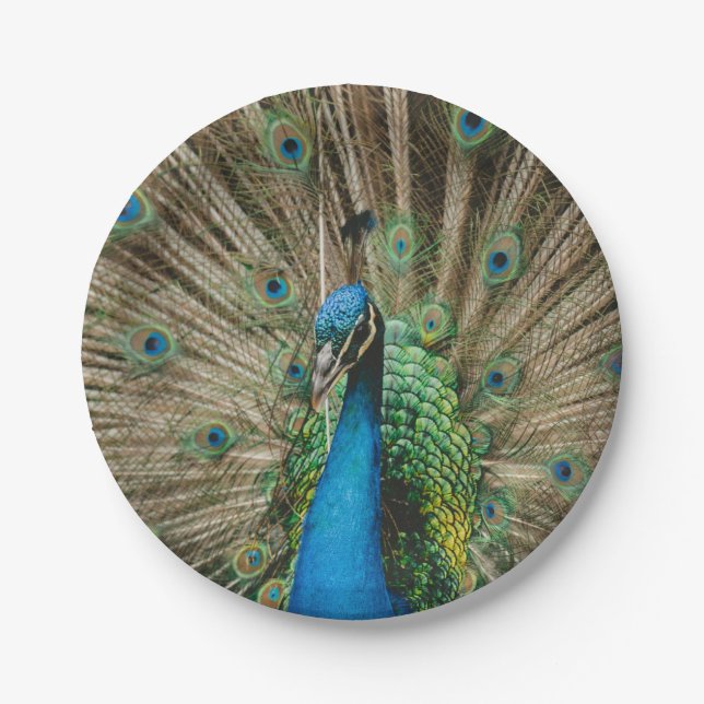Peacock Paper Plate (Front)