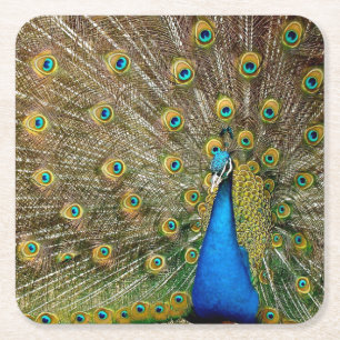 Peacock Pattern Peacock Artwork Painting Animal Ar Square Paper Coaster