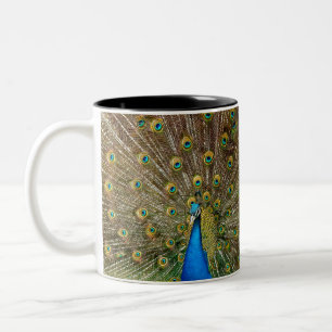 Peacock Pattern Peacock Artwork Painting Animal Ar Two-Tone Coffee Mug