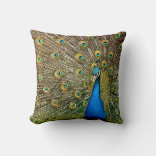 Peacock Pattern Peacock Artwork Painting Cushion