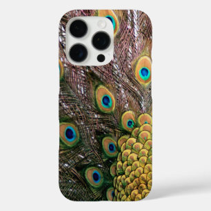 Peacock Peafowl Eyes and Feathers iPhone 16 Pro Case
