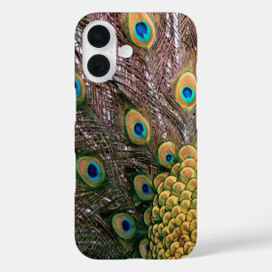 Peacock Peafowl Eyes and Feathers iPhone 16 Case