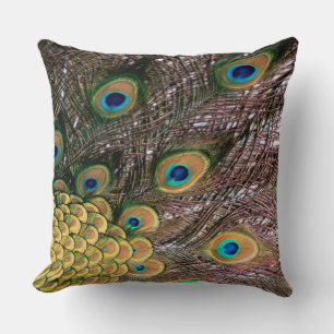 Peacock Peafowl Eyes and Feathers Cushion