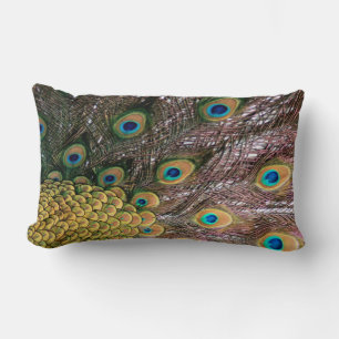 Peacock Peafowl Eyes and Feathers Lumbar Cushion