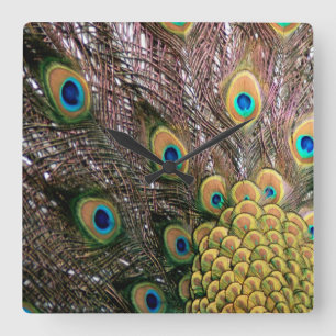 Peacock Peafowl Eyes and Feathers Square Wall Clock