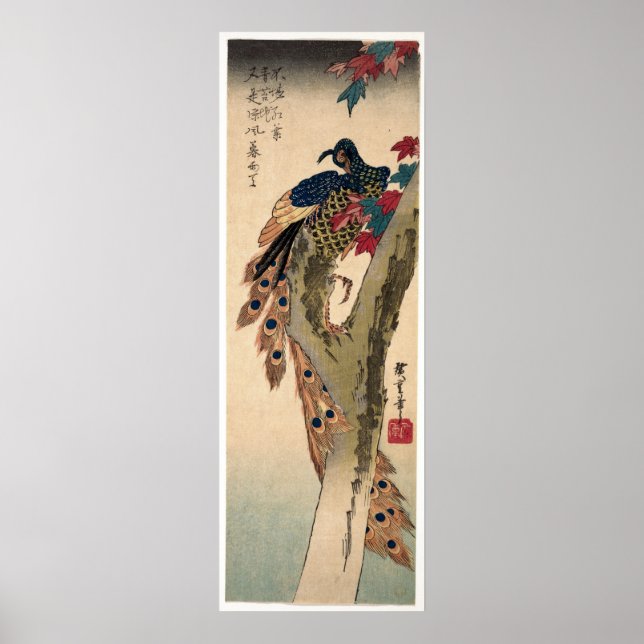 Peacock Perched on a Maple Tree Poster (Front)