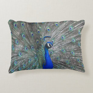PEACOCK PHOTO ACCENT PILLOW