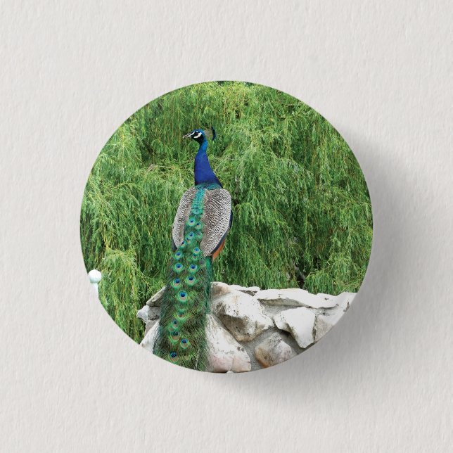 Peacock Photo  Badge (Front)