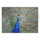 Peacock photo card